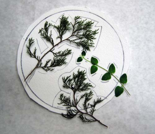 Leaves on fiber paper