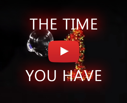 The Time You Have