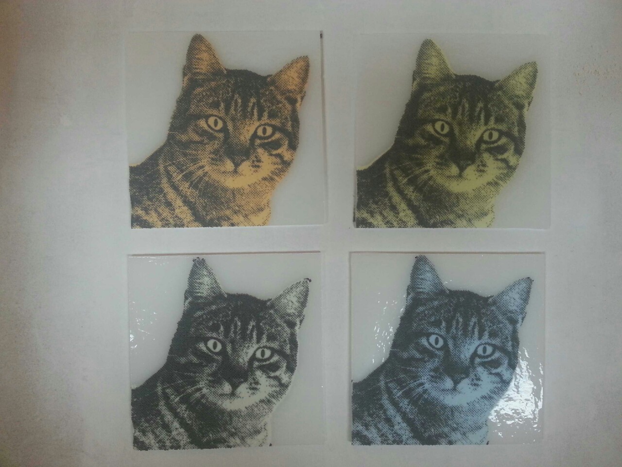 Screen Printing with Powder